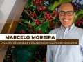 Marcelo Moreira - Analista de Mercado e Colaborador na Archer Consulting