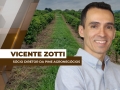 Vicente Zotti - Sócio Diretor da Pine Agronegócios