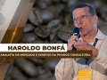 Haroldo Bonfá - Analista de Mercado e Diretor da Pharos Consultoria