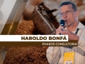 Haroldo Bonfá - Analista de Mercado e Diretor da Pharos Consultoria