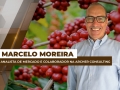 Marcelo Moreira - Analista de Mercado e Colaborador na Archer Consulting