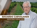Eduardo Carvalhaes - Analista de Mercado do Escritório Carvalhaes