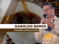 Haroldo Bonfá - Analista de Mercado e Diretor da Pharos Consultoria