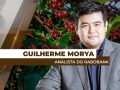 Guilherme Morya - Analista do Rabobank