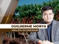 Guilherme Morya - Analista do Rabobank