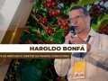 Haroldo Bonfá - Analista de Mercado e Diretor da Pharos Consultoria