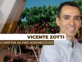 Vicente Zotti - Sócio Diretor da Pine Agronegócios