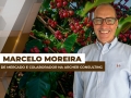 Marcelo Moreira - Analista de Mercado e Colaborador na Archer Consulting