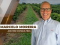 Marcelo Moreira - Analista de Mercado e Colaborador na Archer Consulting