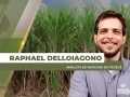 Raphael Delloiagono - Analista de Mercado do Pecegê