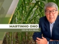Martinho Ono - CEO da SCA Brasil