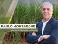 Paulo Montabone - Diretor da Fenasucro & Agrocana
