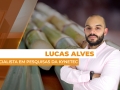 Lucas Alves - Especialista em Pesquisas da Kynetec