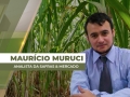 Maurício Muruci - Analista da Safras & Mercado
