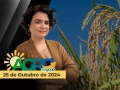 Bom dia Agronegócio