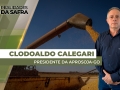 Clodoaldo Calegari - Presidente da Aprosoja-GO