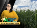 Bom Dia Agro