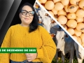Fechamento de Mercado - Programa Completo