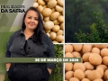 Realidades da Safra - Notícias Agrícolas