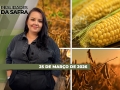 Realidades da Safra - Notícias Agrícolas