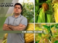 Realidades da Safra - Notícias Agrícolas