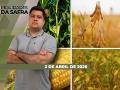 Realidades da Safra - Notícias Agrícolas