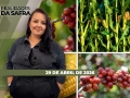 Realidades da Safra - Notícias Agrícolas