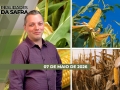 Realidades da Safra - Notícias Agrícolas