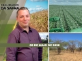 Realidades da Safra - Notícias Agrícolas