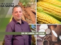 Realidades da Safra - Notícias Agrícolas