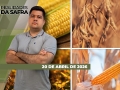Realidades da Safra - Notícias Agrícolas