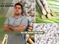 Realidades da Safra - Notícias Agrícolas