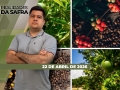 Realidades da Safra - Notícias Agrícolas