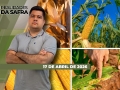 Realidades da Safra - Notícias Agrícolas