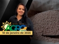 Bom Dia Agro - Com Carla Mendes