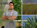Realidades da Safra - Notícias Agrícolas