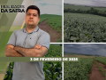 Realidades da Safra - Notícias Agrícolas