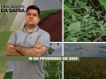 Realidades da Safra - Notícias Agrícolas