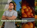 Realidades da Safra - Notícias Agrícolas