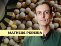 Matheus Pereira, diretor da Pátria Agronegócios