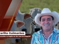 Carlito Guimarães - Pecuarista na Região de São José do Xingu/MT