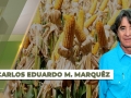 Carlos Eduardo M. Marquêz - Presidente do Sindicato Rural de Caarapó/MS