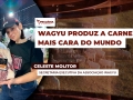 Celeste Molitor - Secretária Executiva da Associação Wagyu