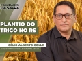 Célio Alberto Colle - Assessor Técnico da Emater/RS-Ascar