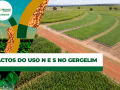 André Somavilla Coord. de Pesquisa - Ctecno Araguaia