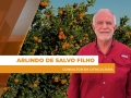 Arlindo de Salvo Filho - Consultor em Citricultura