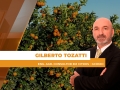 Gilberto Tozatti - Eng. Agr. Consultor em Citros - GCONCI