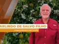 Arlindo de Salvo Filho - Consultor em Citricultura