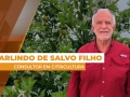 Arlindo de Salvo Filho - Consultor em Citricultura
