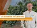 Guilherme Rodriguez - Coordenador da Pesquisa de Estimativa de Safra do Fundecitrus